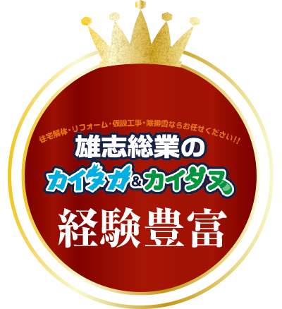経験豊富